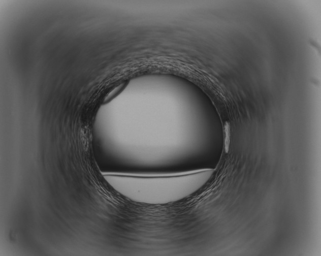 X0000091981491200709061141
