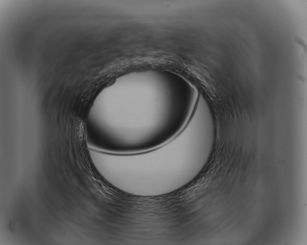X0000091981492200709061141