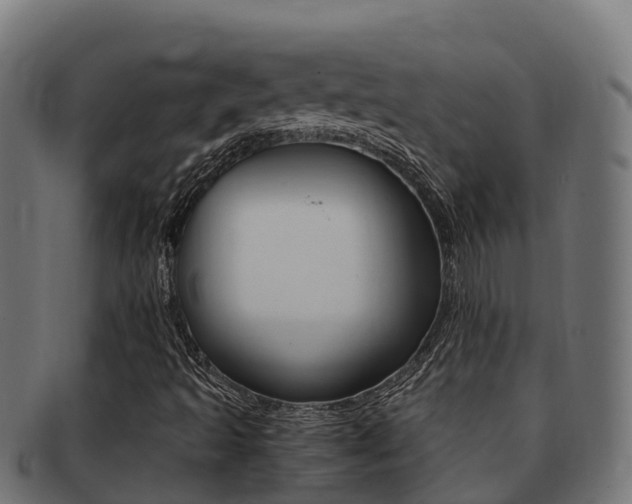 X0000091981493200709061141