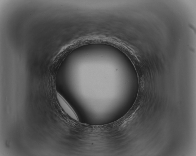 X0000091981494200709061141