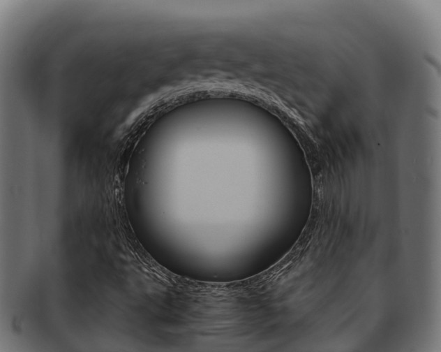 X0000091981495200709061141