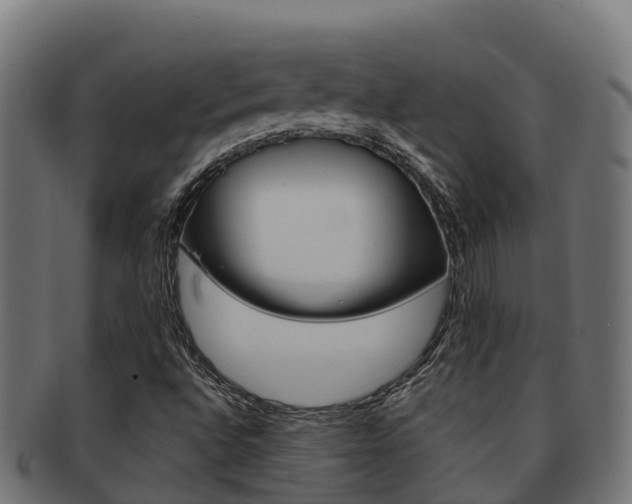 X0000091981496200709061141