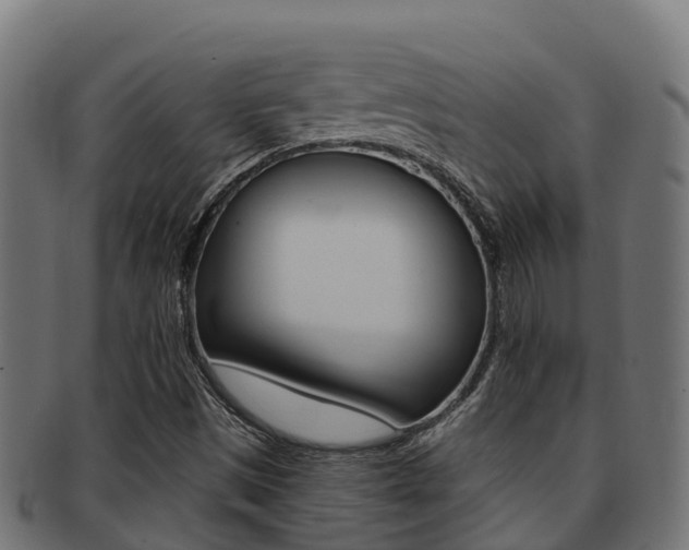 X0000091981497200709061141