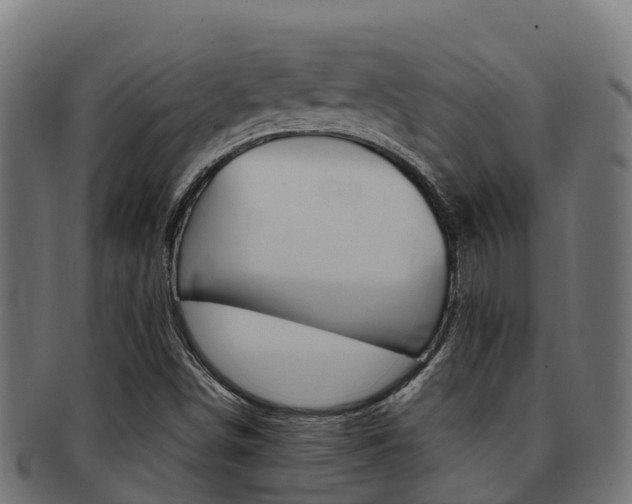 X0000091981498200709061141