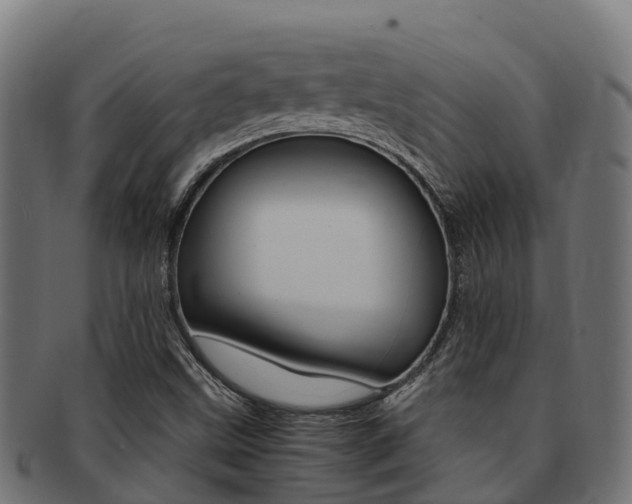 X0000091981499200709061141