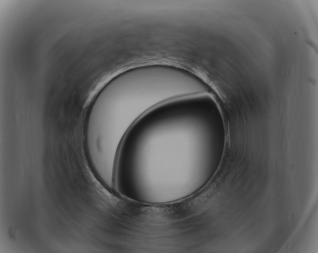 X0000091981500200709061141