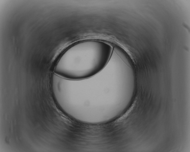 X0000091981501200709061141