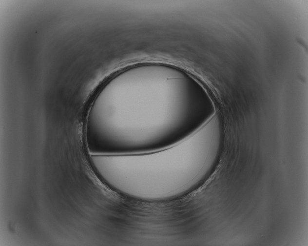 X0000091981503200709061141