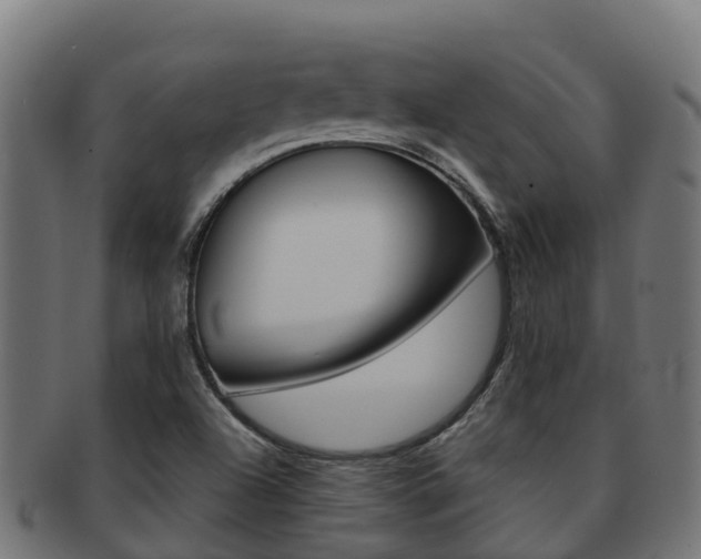 X0000091981504200709061141