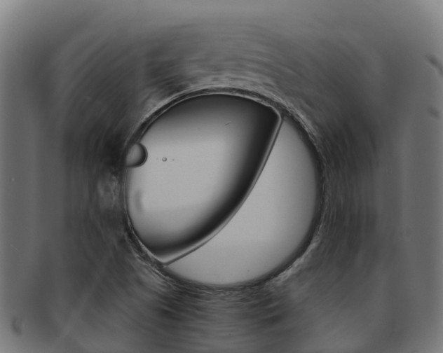X0000091981505200709061141