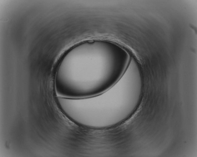 X0000091981506200709061141