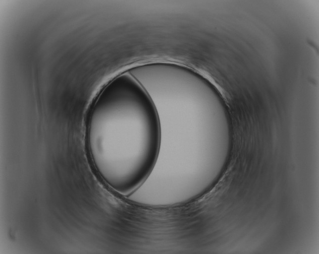 X0000091981508200709061141