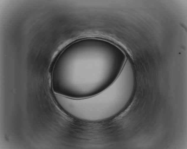 X0000091981509200709061142