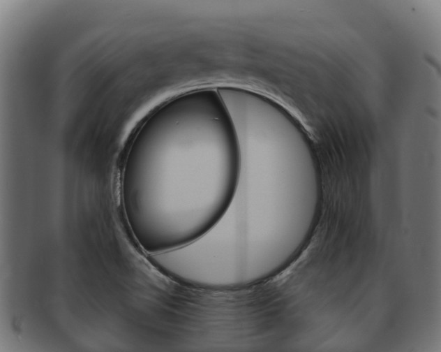 X0000091981510200709061142