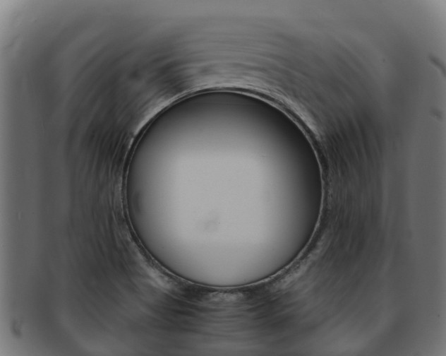 X0000091981513200709061142