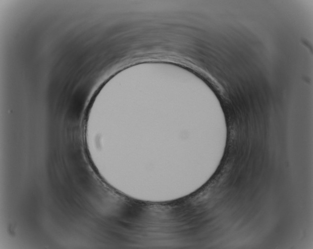 X0000091981514200709061142