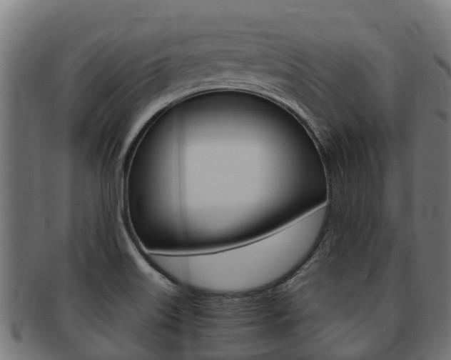 X0000091981515200709061142
