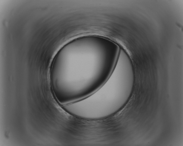 X0000091981516200709061142