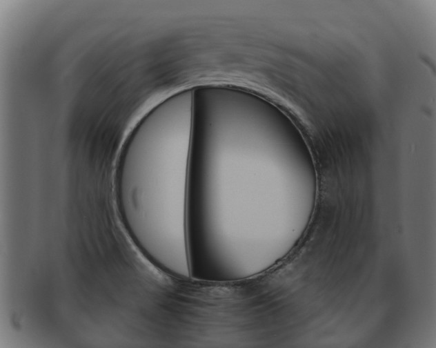 X0000091981517200709061142