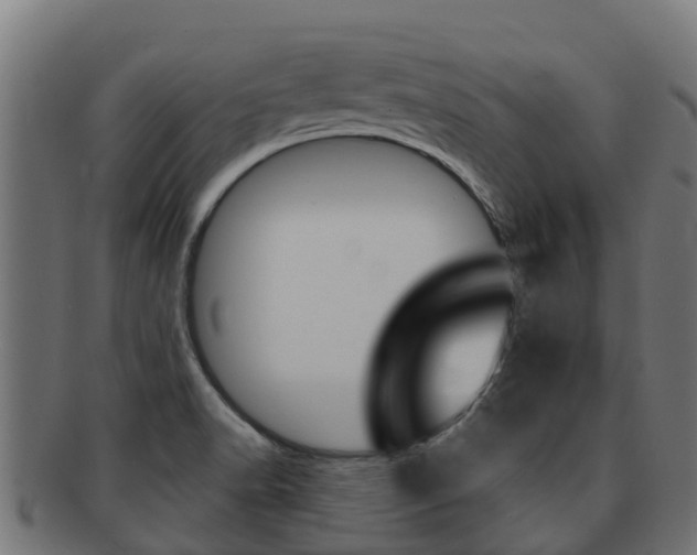 X0000091981518200709061142