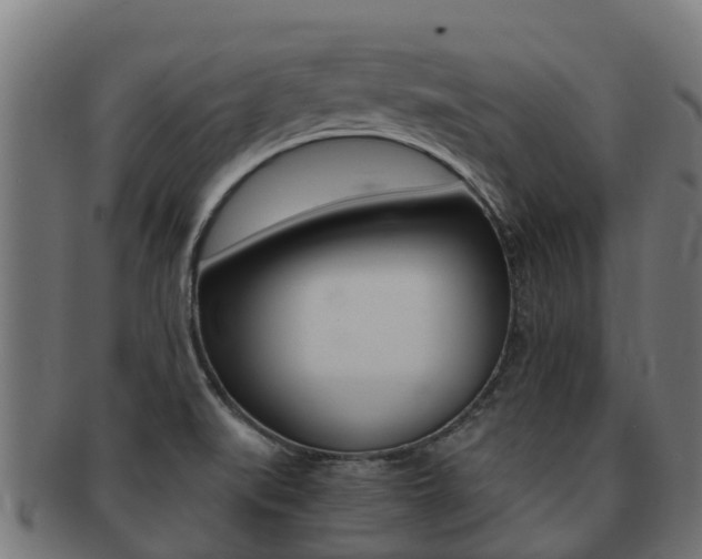 X0000091981519200709061142