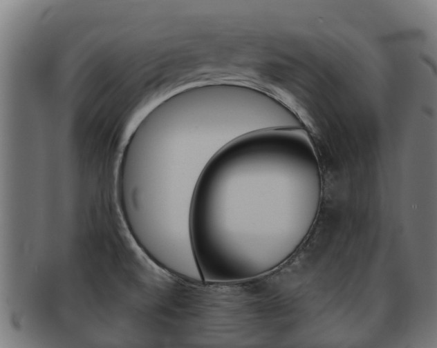 X0000091981520200709061142