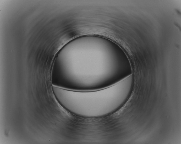 X0000091981521200709061142