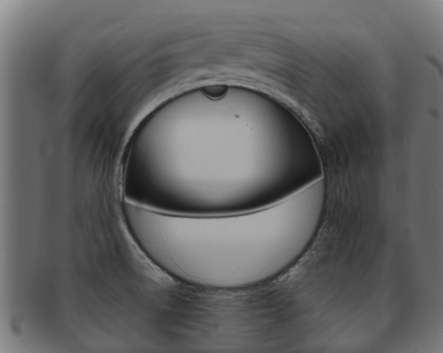 X0000091981522200709061142