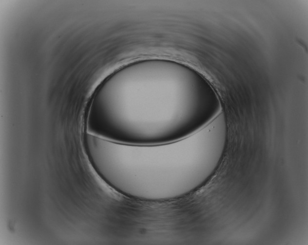 X0000091981523200709061142