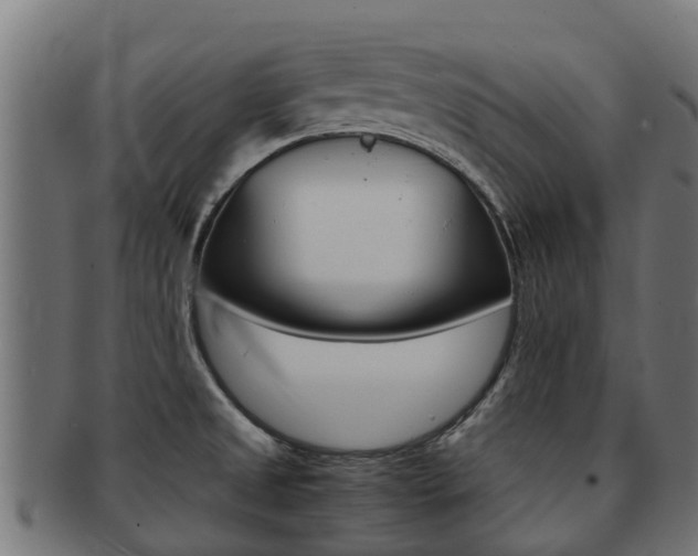 X0000091981525200709061142