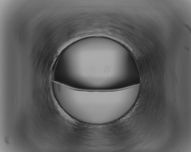 X0000091981526200709061142