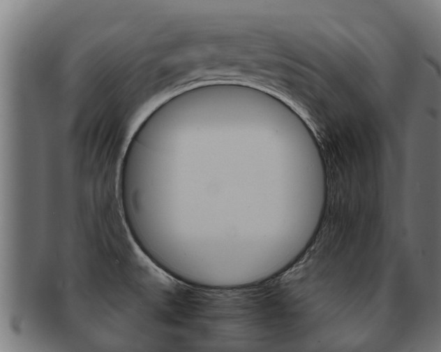 X0000091981527200709061142
