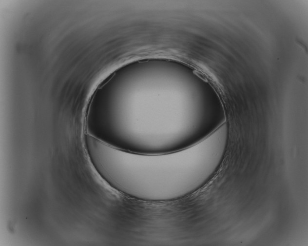 X0000091981528200709061142