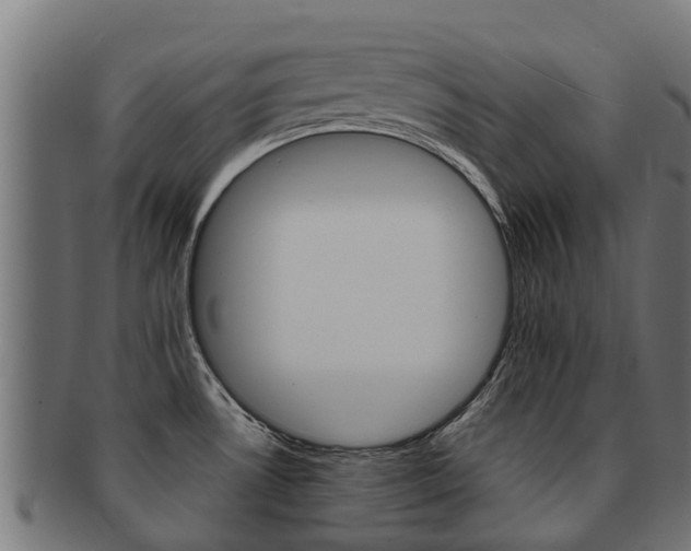 X0000091981530200709061142