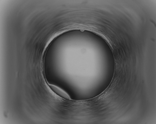 X0000091981531200709061142