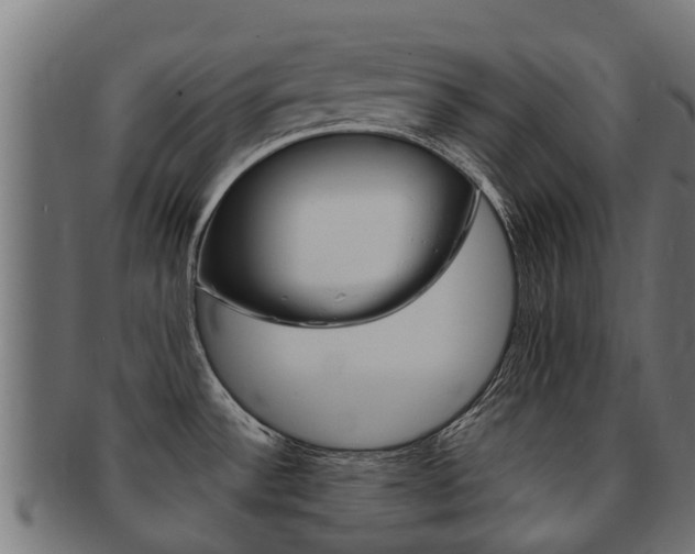 X0000091981532200709061142