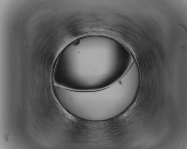 X0000091981533200709061142