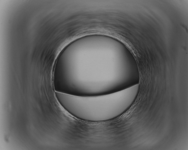 X0000091981535200709061142