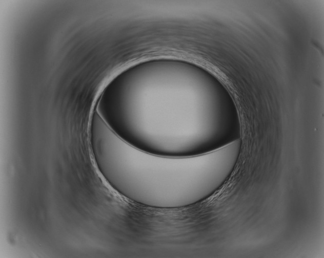 X0000091981536200709061142