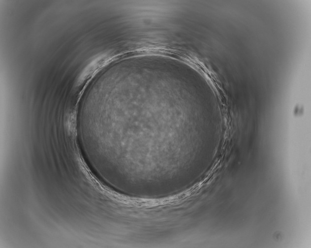 X0000091980002200709061404