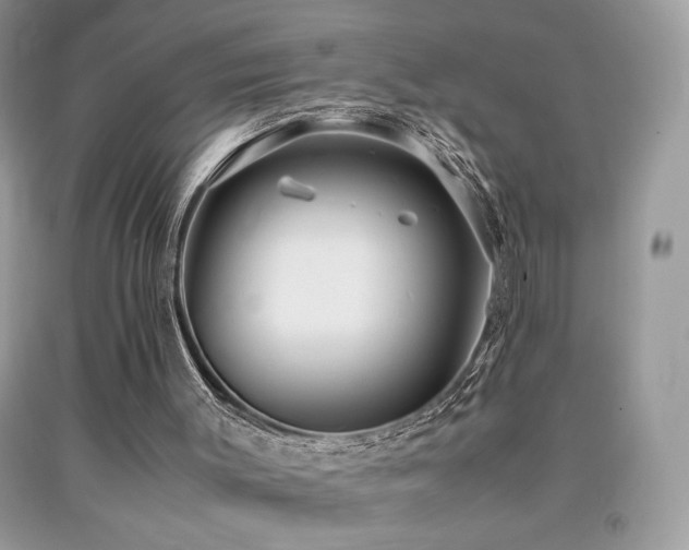 X0000091980003200709061404