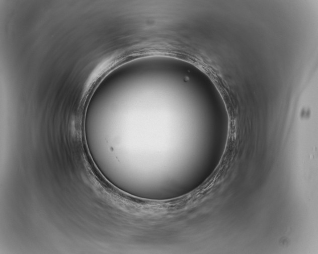 X0000091980004200709061404