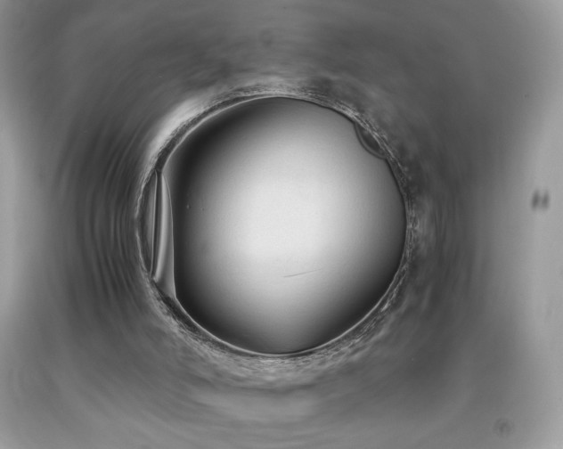 X0000091980006200709061404