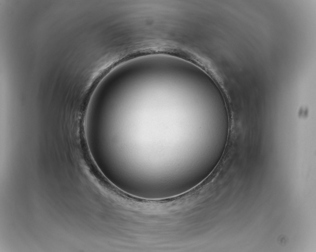 X0000091980010200709061404