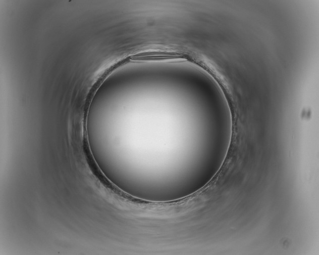 X0000091980011200709061404