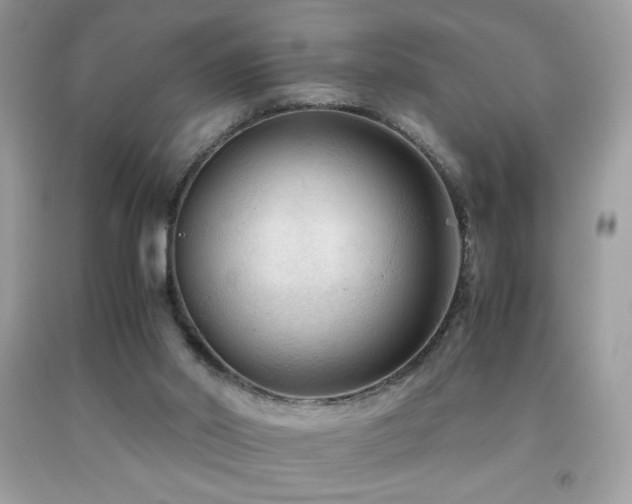 X0000091980014200709061404