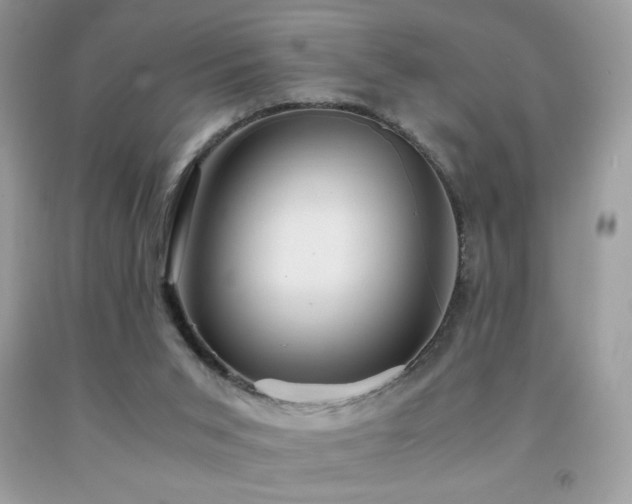 X0000091980015200709061404