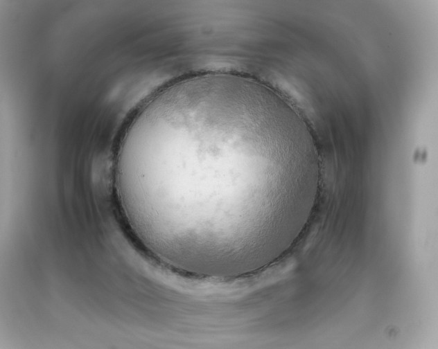 X0000091980016200709061404