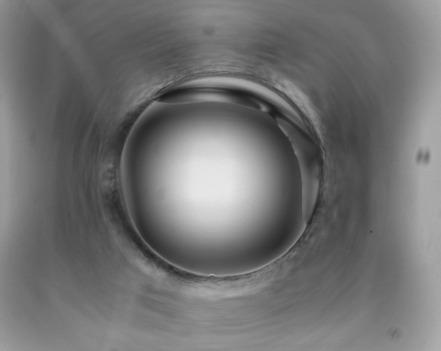 X0000091980017200709061404