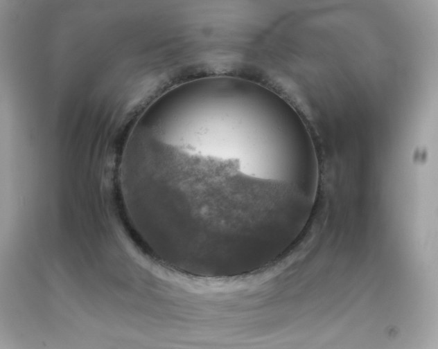 X0000091980018200709061404